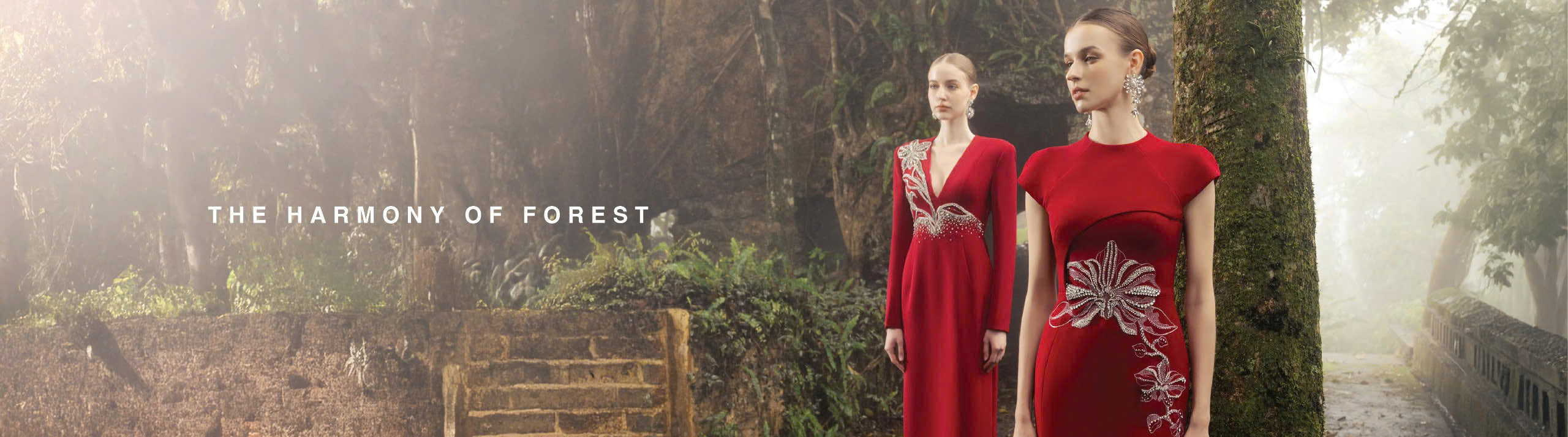 The Harmony Of Forest